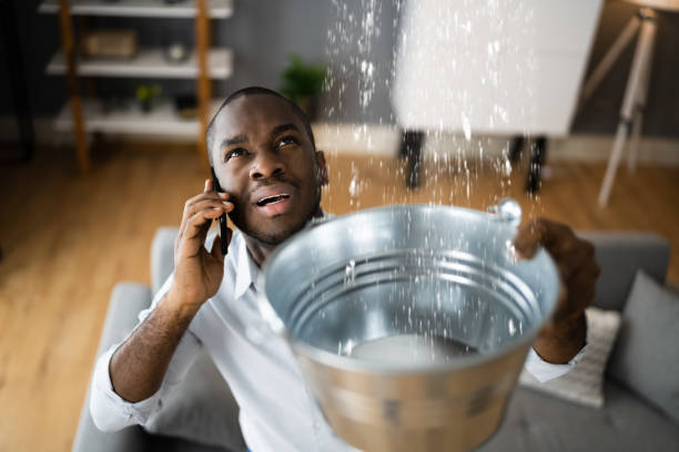 Best Mold removal after water damage  in Canton, PA