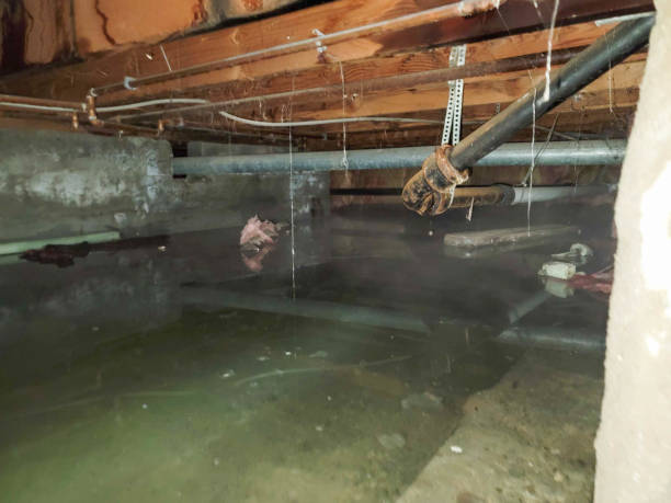 Best Ceiling water damage repair  in Canton, PA