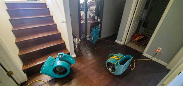 Best Flood restoration services  in Canton, PA