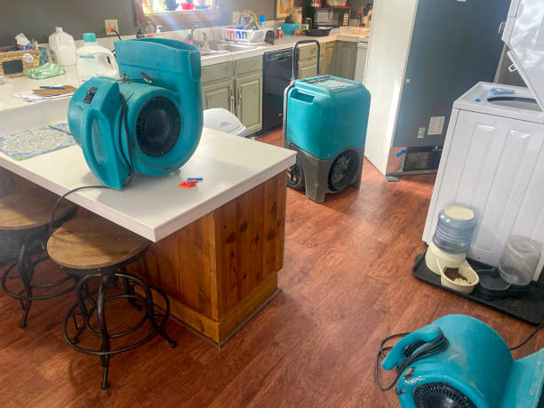 Best Carpet water damage restoration  in Canton, PA