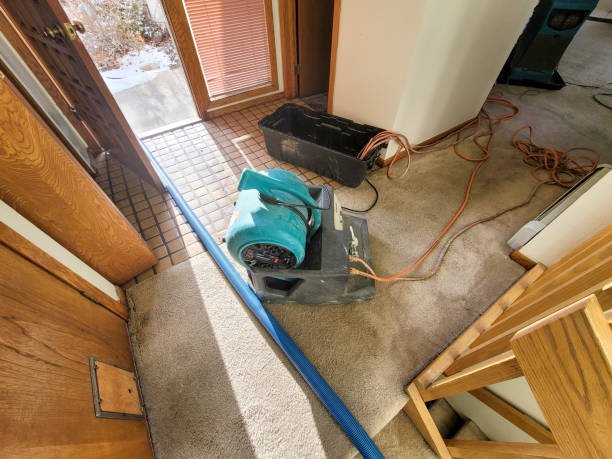 Best 24-hour water damage restoration  in Canton, PA