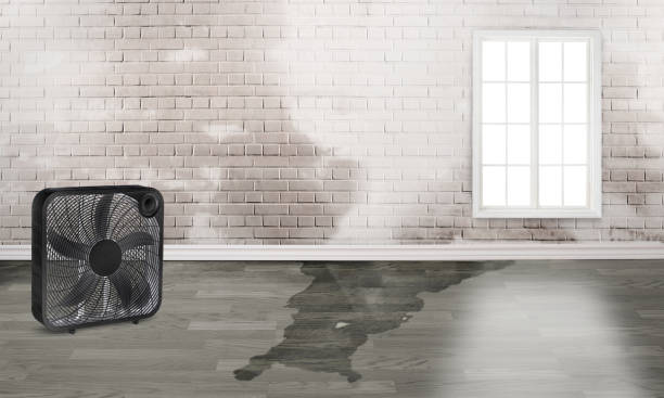 Best Fire Damage Restoration  in Canton, PA