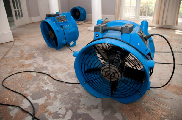 Best Local water damage restoration  in Canton, PA