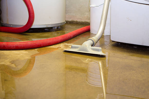 Best Sewage cleanup and water damage restoration  in Canton, PA