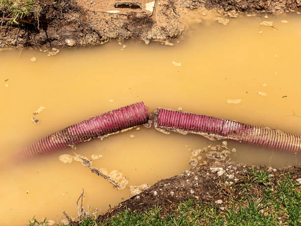 Best Basement water damage restoration  in Canton, PA
