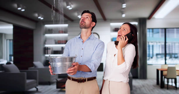 Best Flood damage cleanup  in Canton, PA