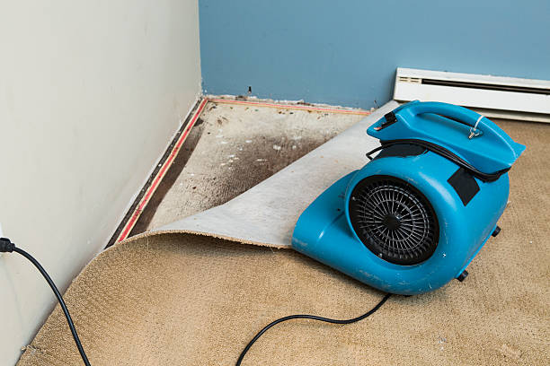 Best Water damage contractors near me  in Canton, PA